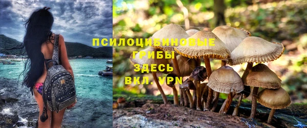герыч Пестово